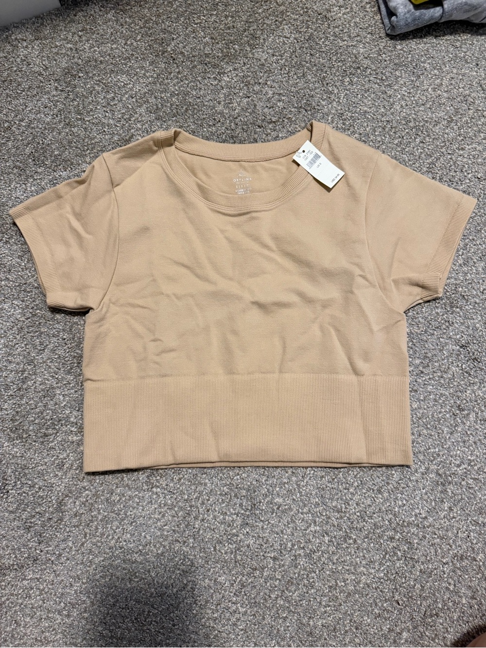Aerie Cropped Short Sleeve Top in Beige